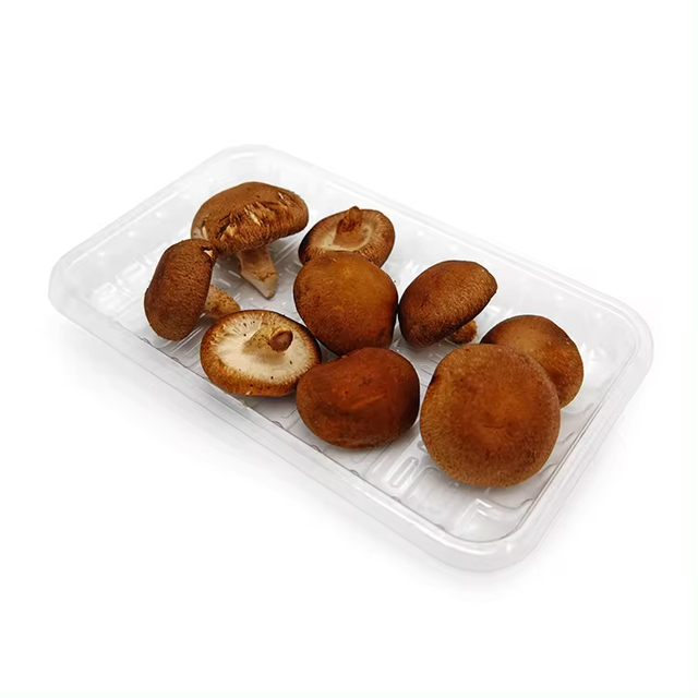 Bandeja descartável personalizada de alimentos PP de supermercado para frutas vegetais, carne fresca, bandeja de alimentos congelados 